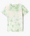 36TATON vert